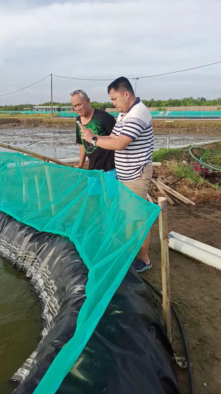 Agus Bakul Ayam