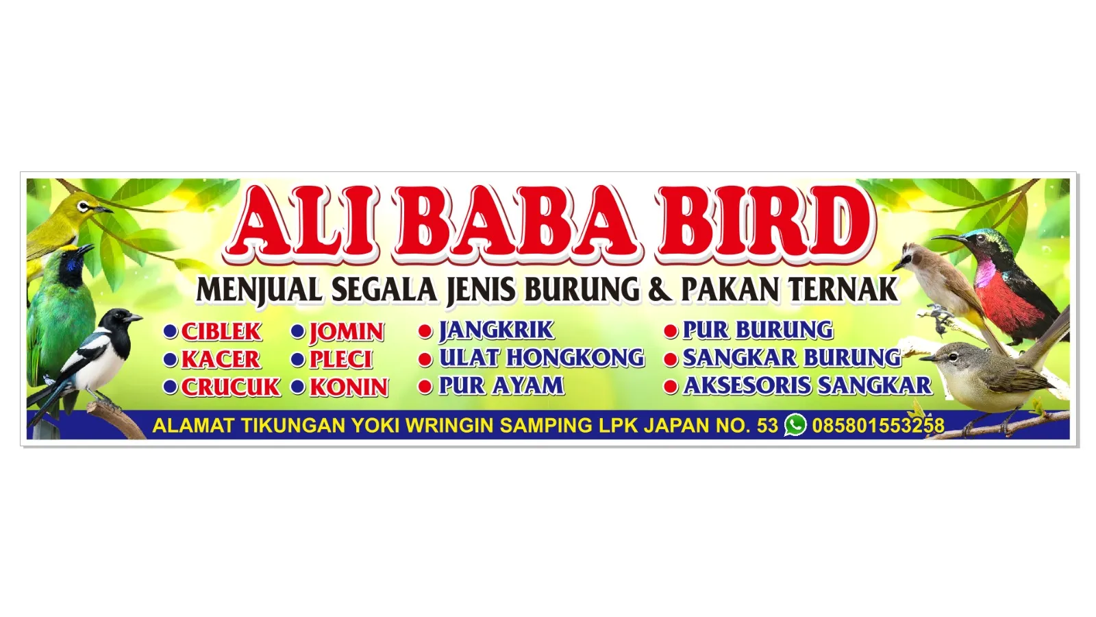 ALI BABA BIRD