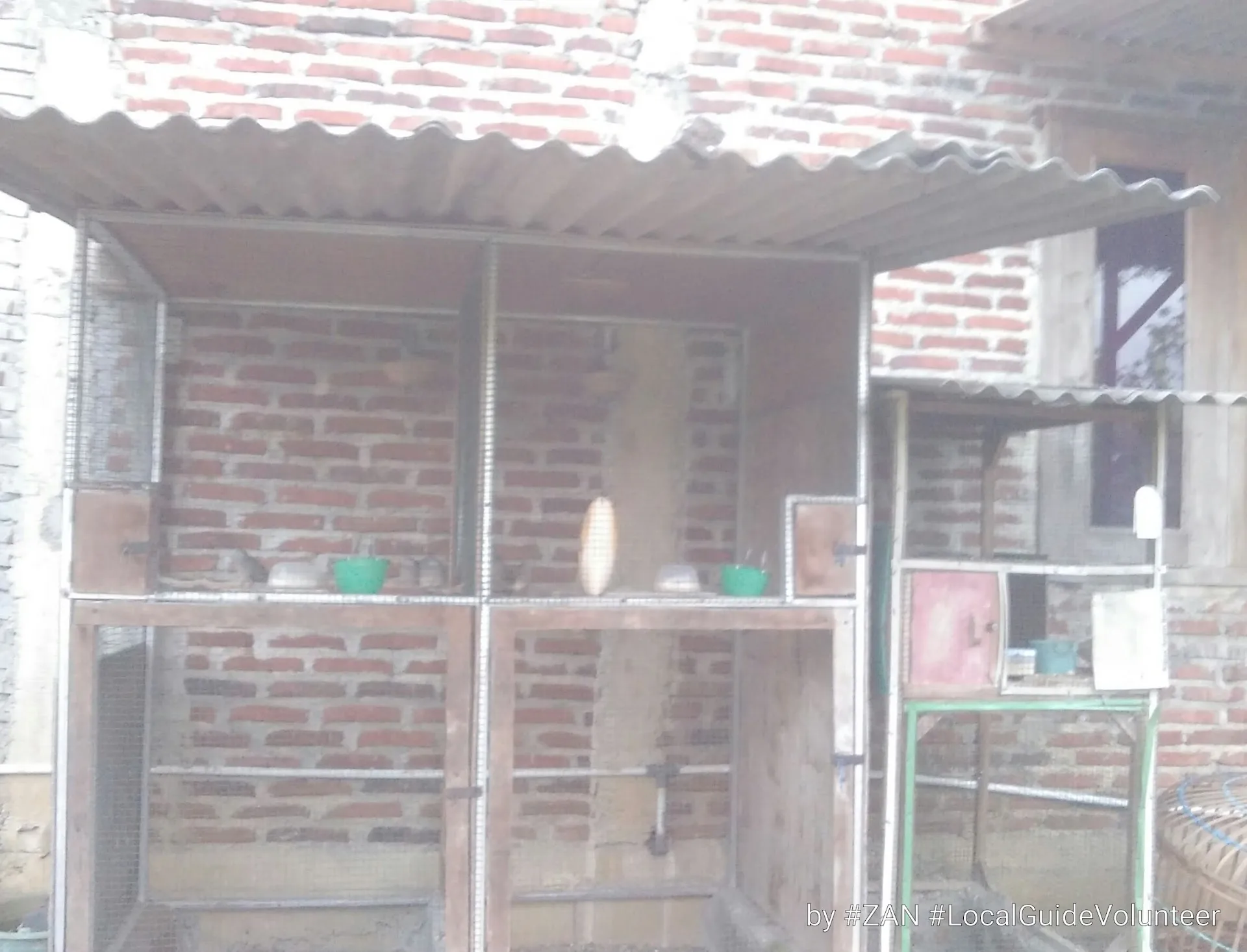 Alifa Birdfarm