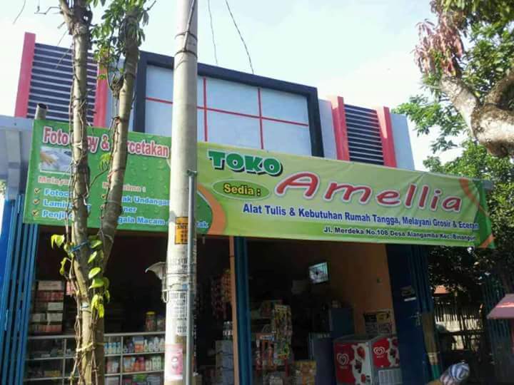 AMEL LIA Foto Copy