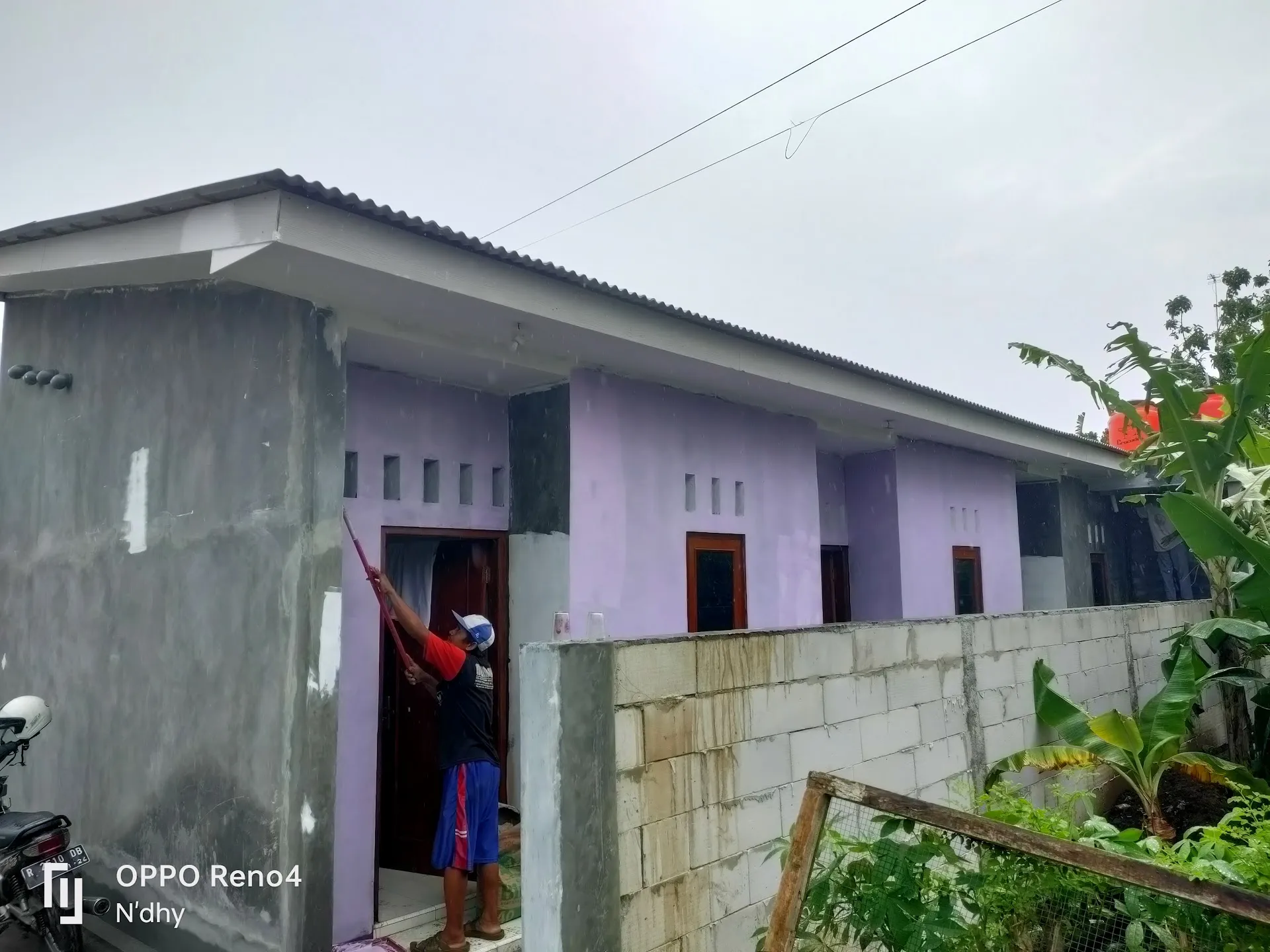 Amole kost
