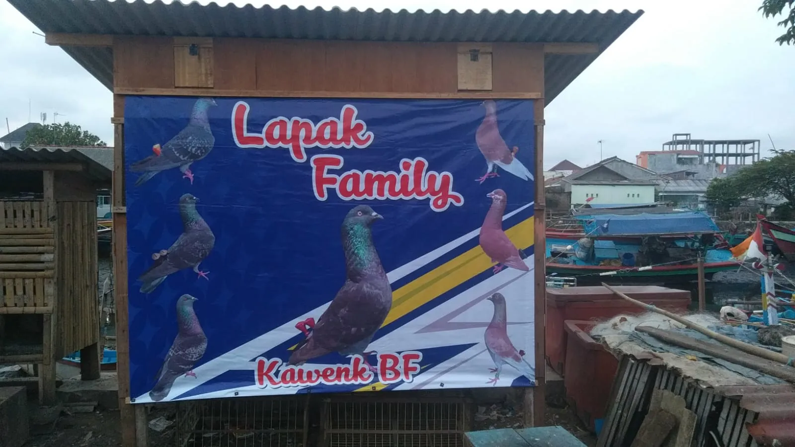 apip burung