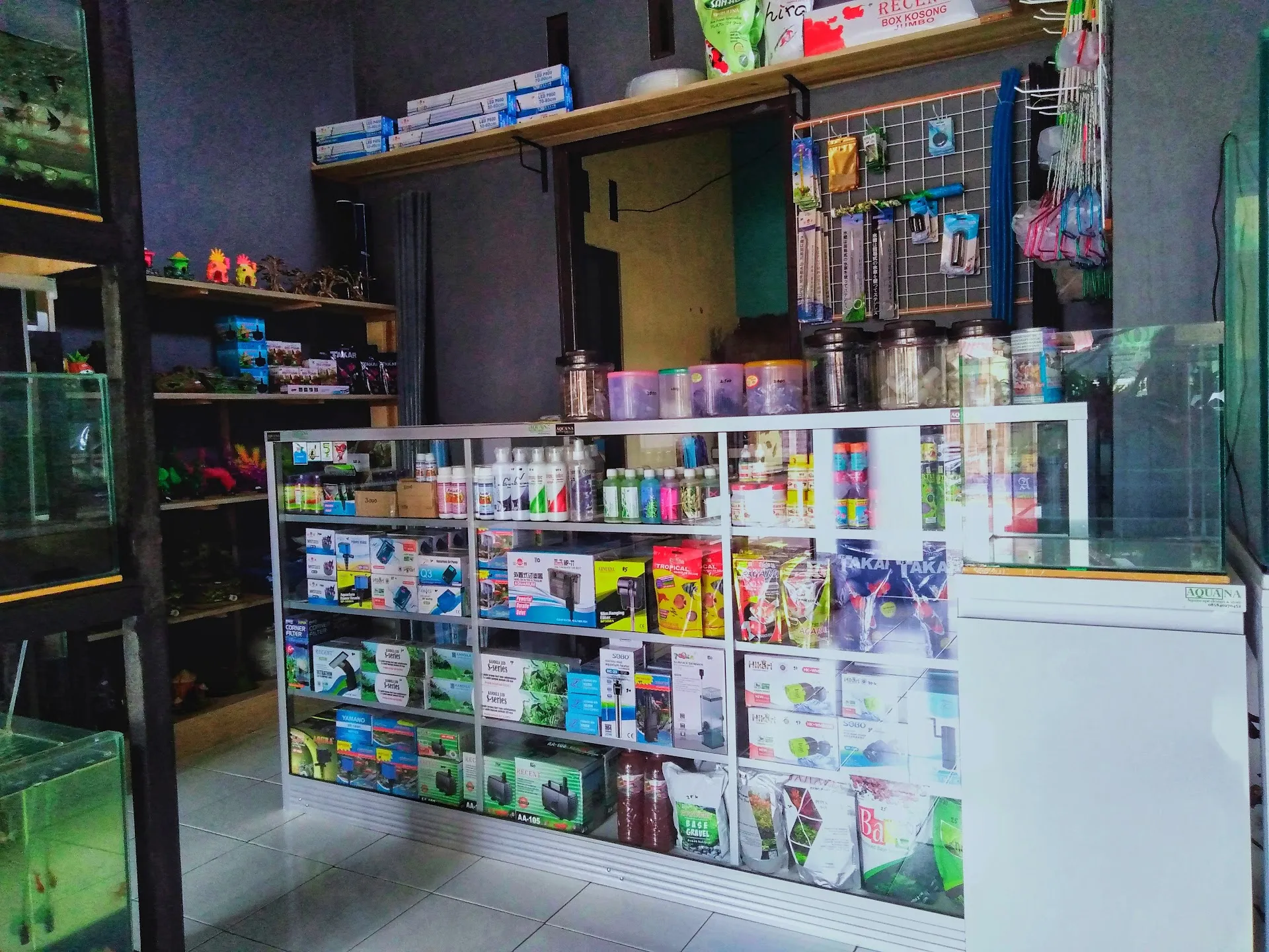 AQUANA Aquascape Design & Store
