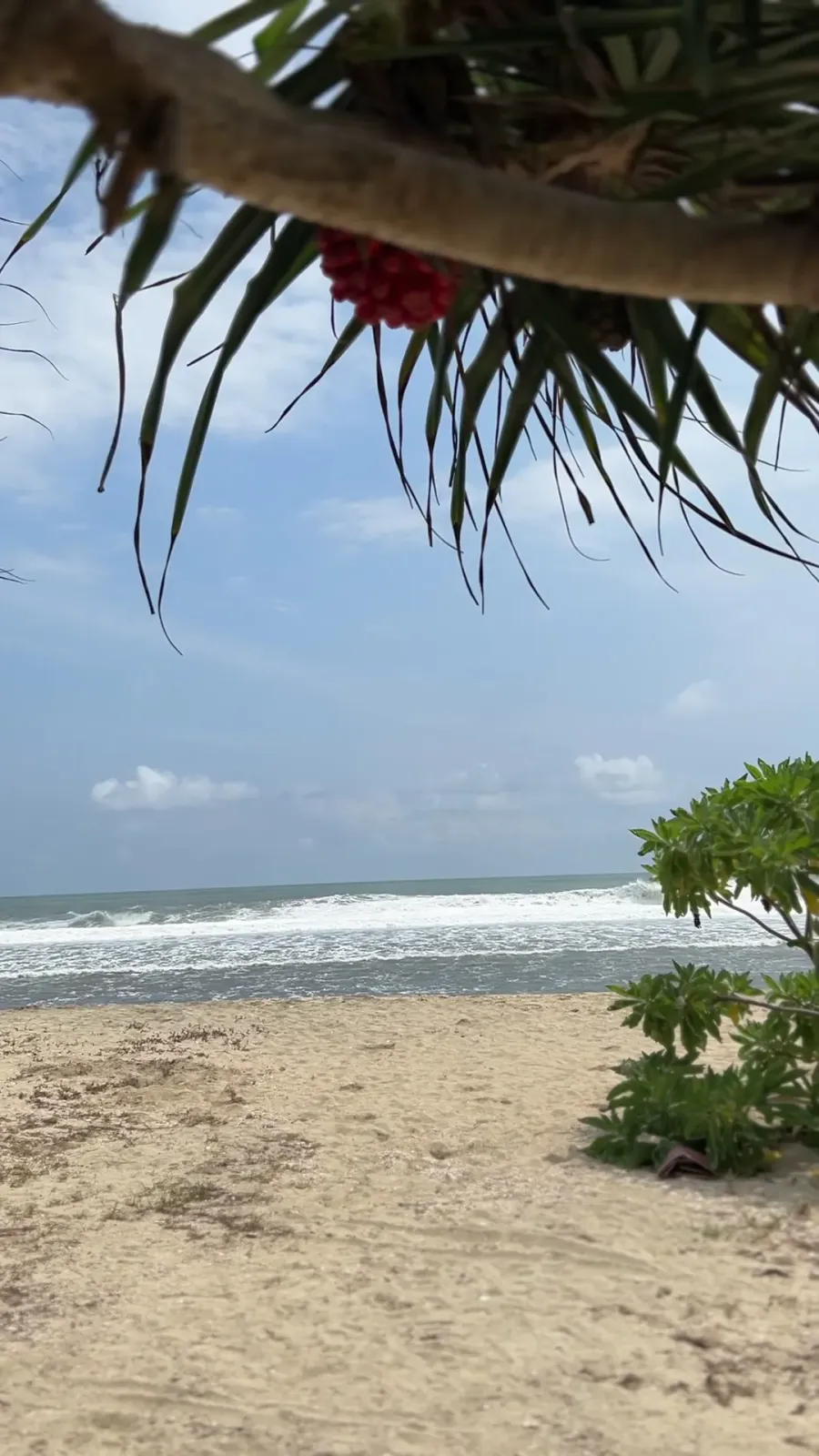 AREA PERKEMAHAN KELUARGA PANTAI KARAPYAK