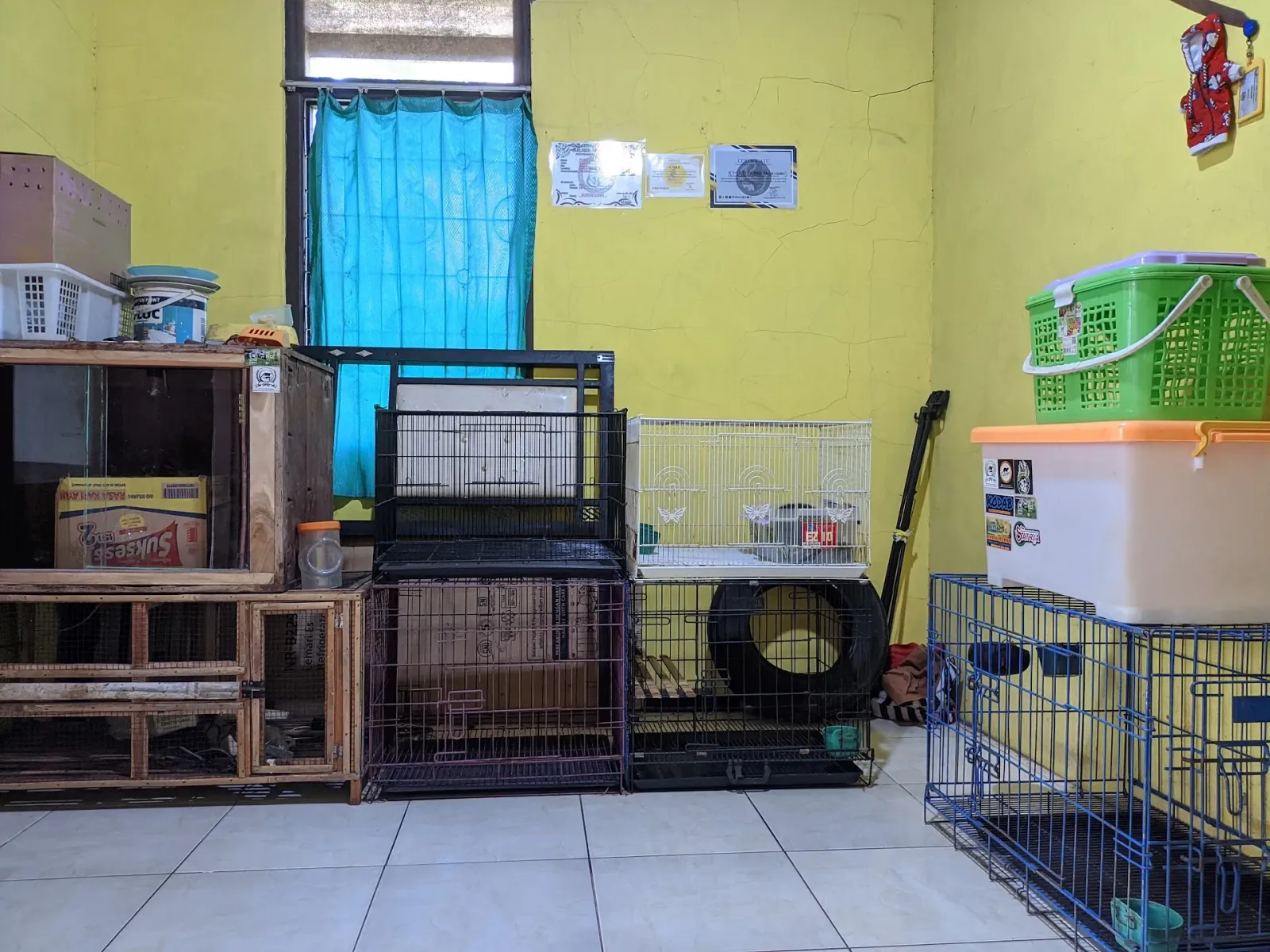 Asyila Pets