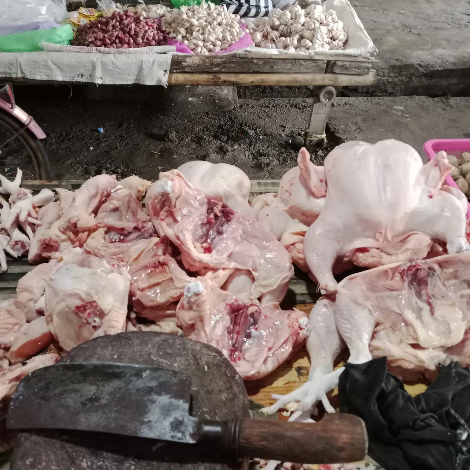 Ayam boiler