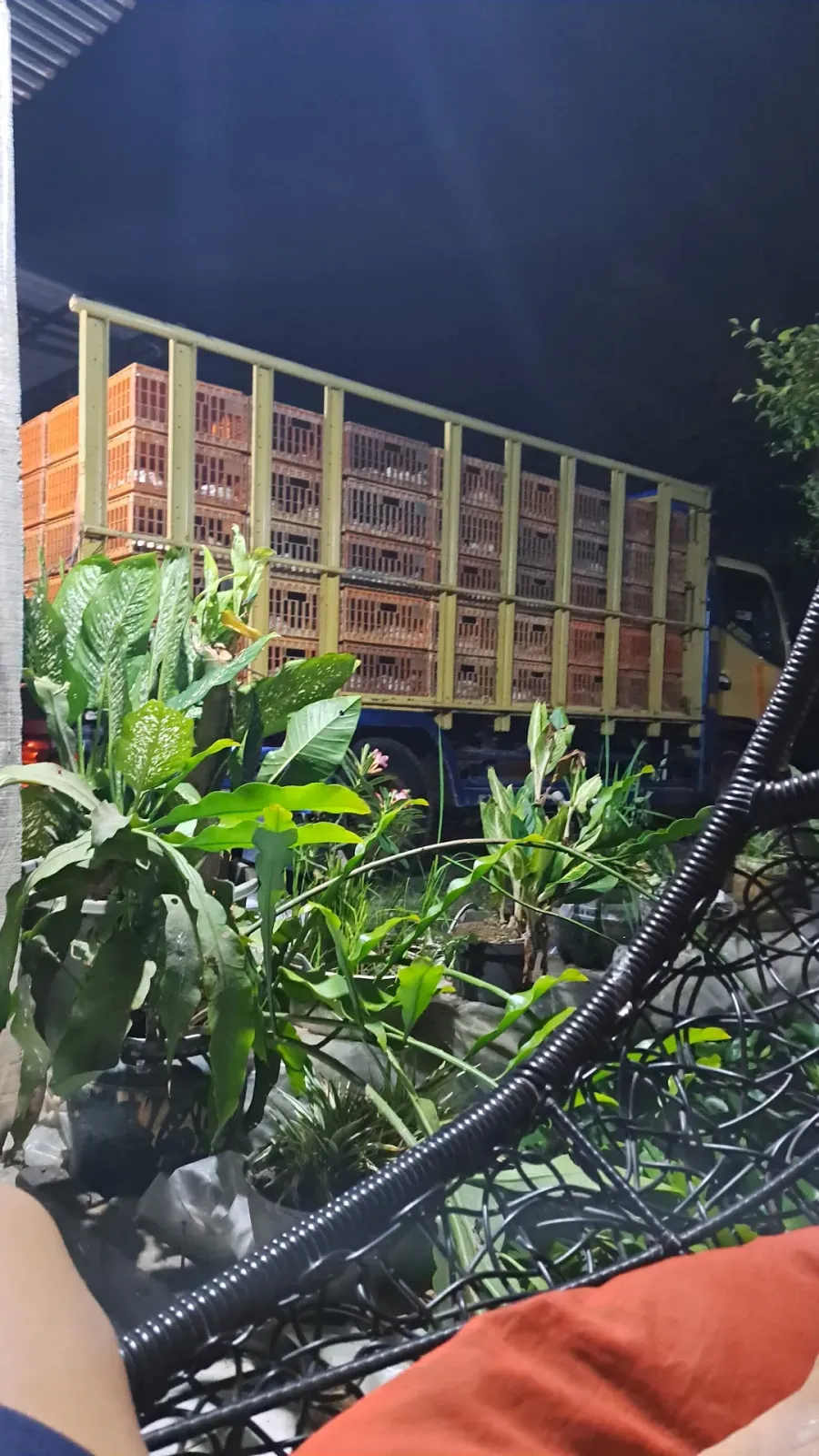 Ayam potong al faruq & travel