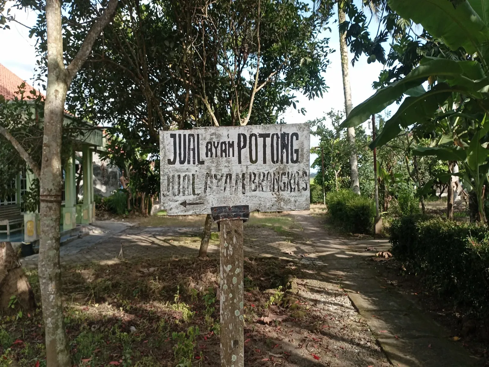 Ayam Potong Tiga Putra (Pak Momo)
