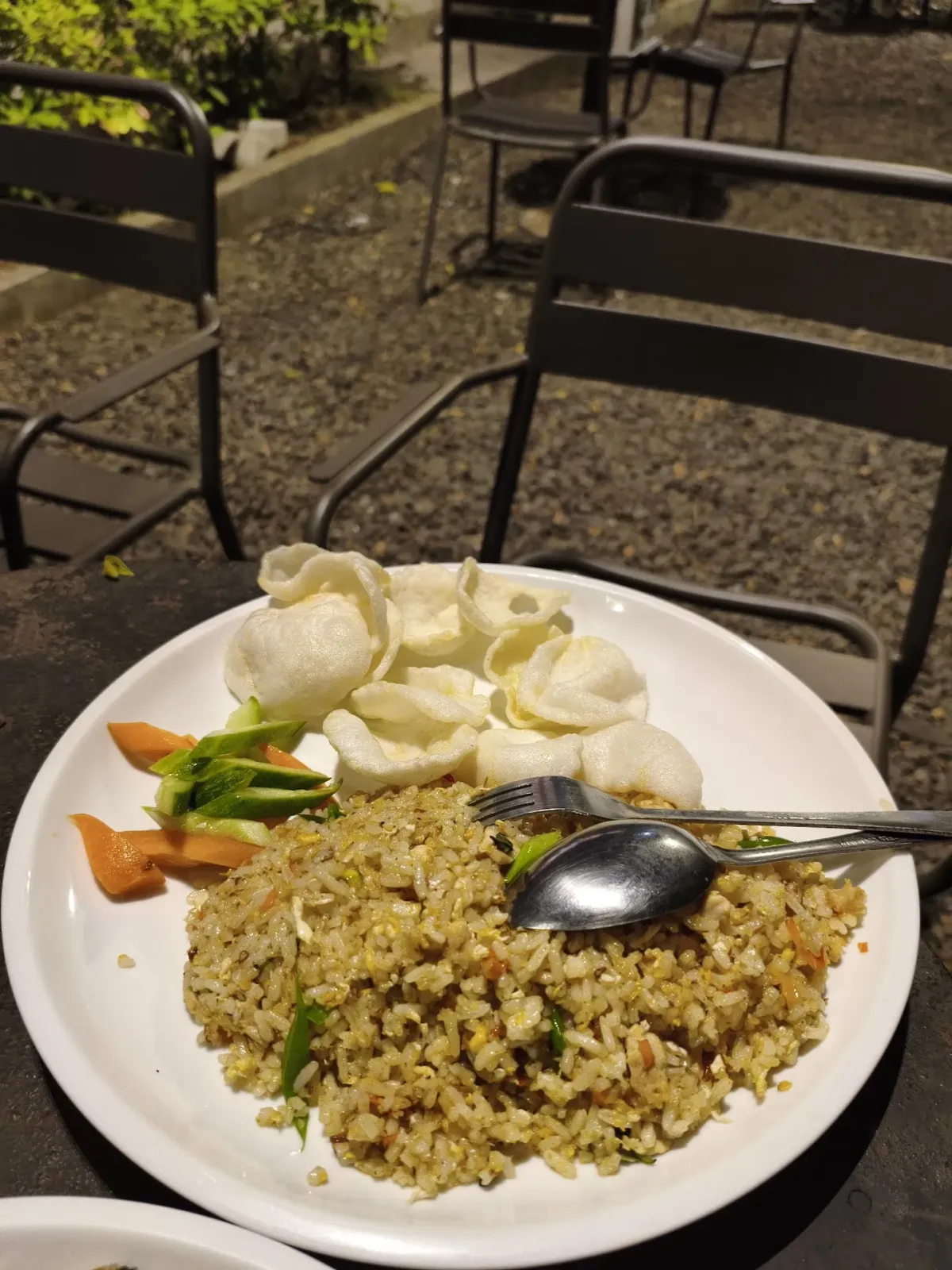 badiakopi