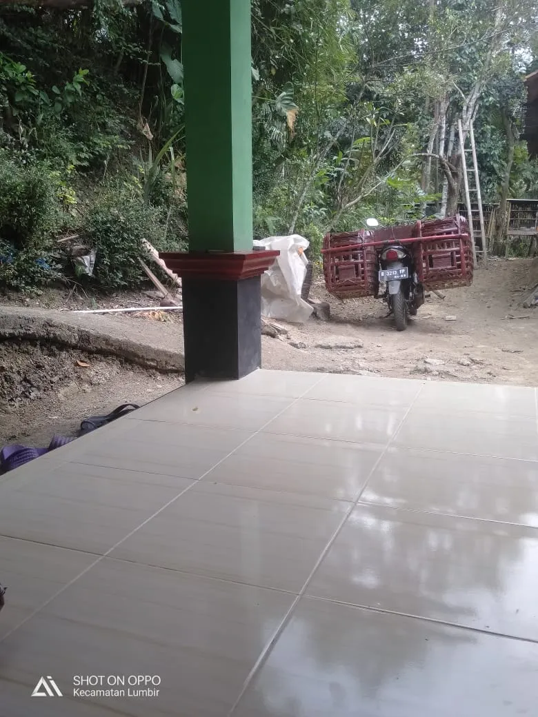 Bakul ayam kampung Bpk warsono