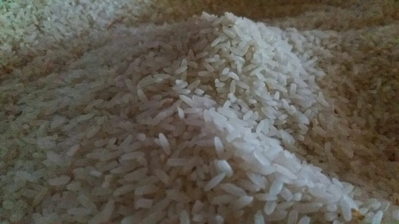 Bakul Pari-Beras