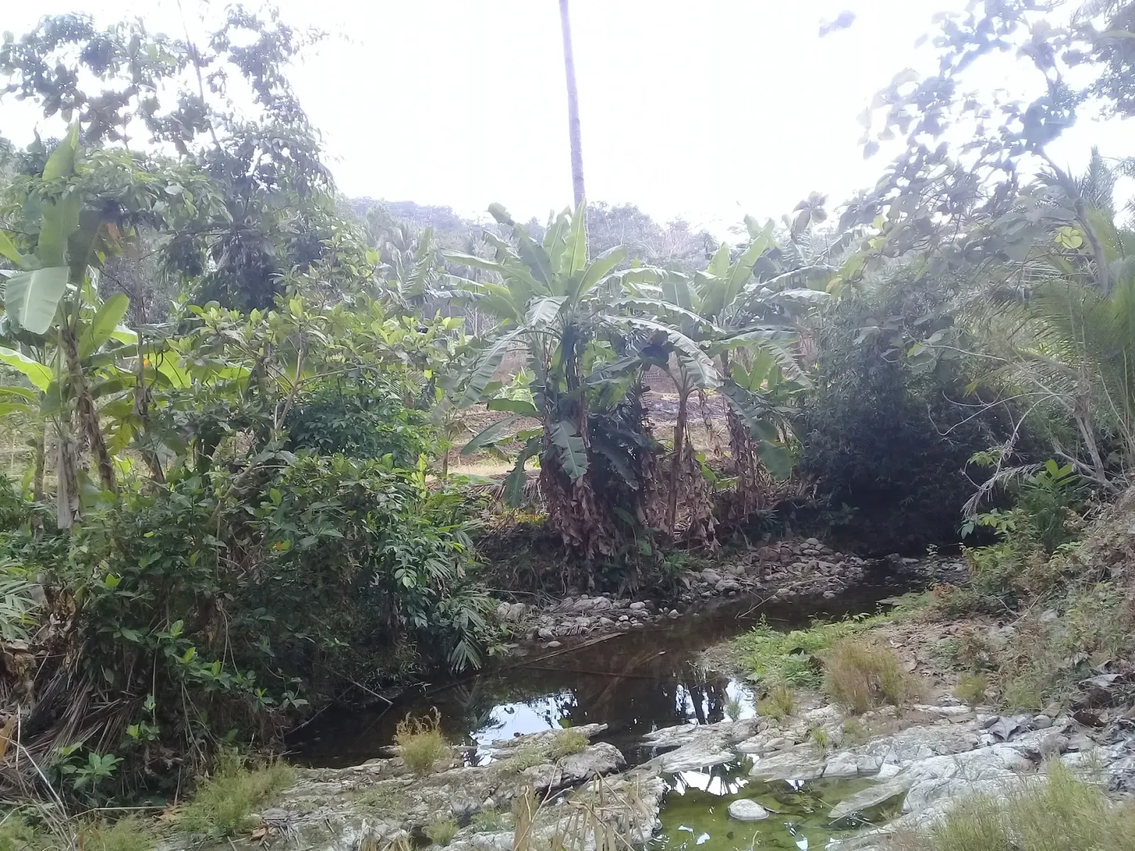 Balai Desa Ujungmanik