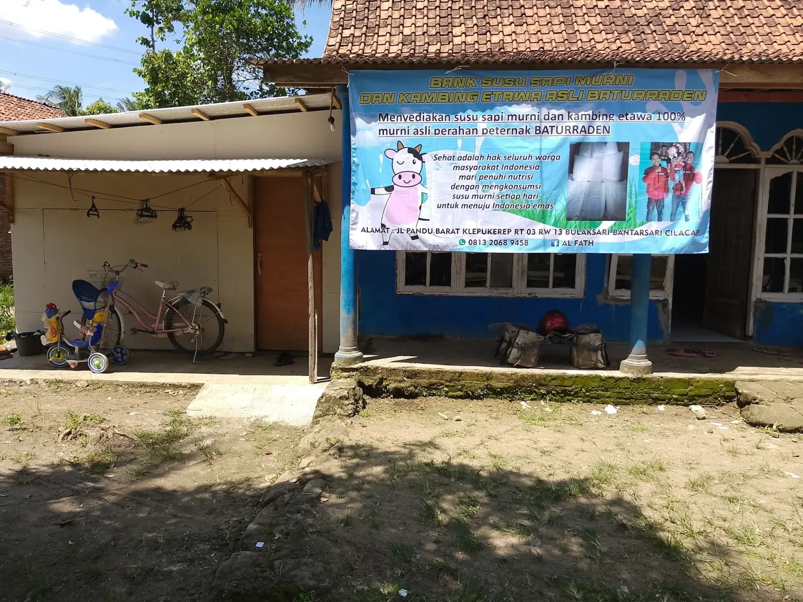Bank susu sapi murni dan kambing etawa bakul susu Cilacap