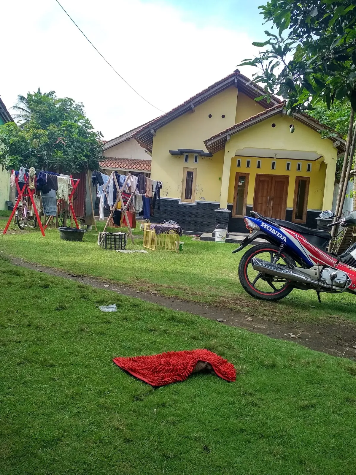 Bapak sagimin