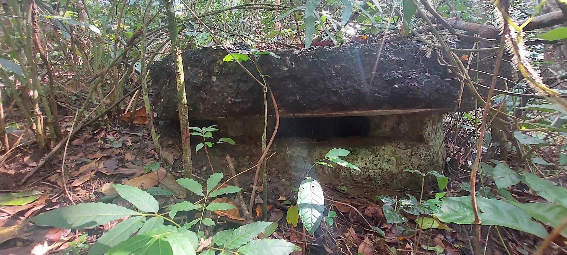 Benteng Jepang