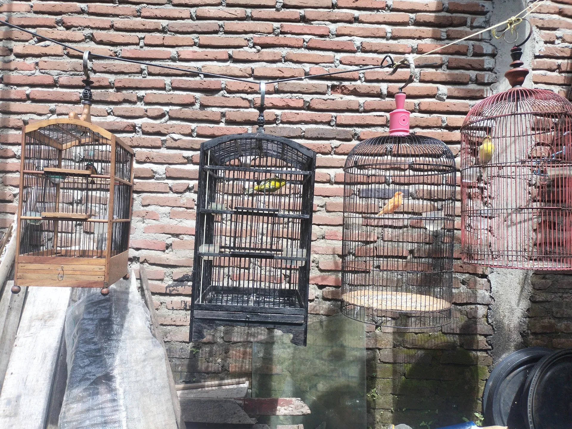 Berkah Rizki Farm