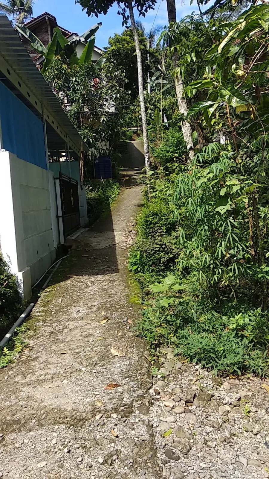Bescamp JEJAK MISTERI BAGOL CHANEL