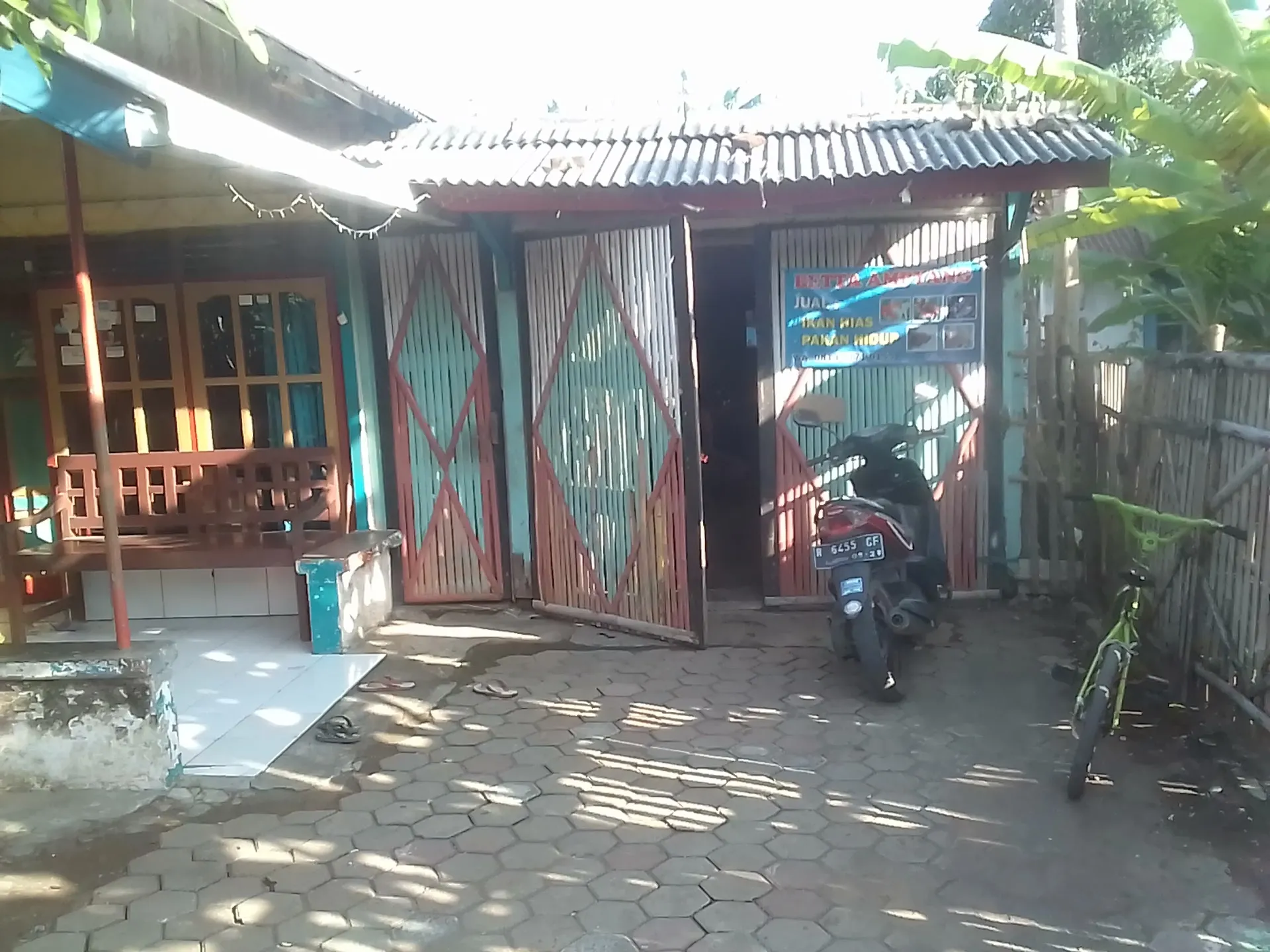 betta ampyang