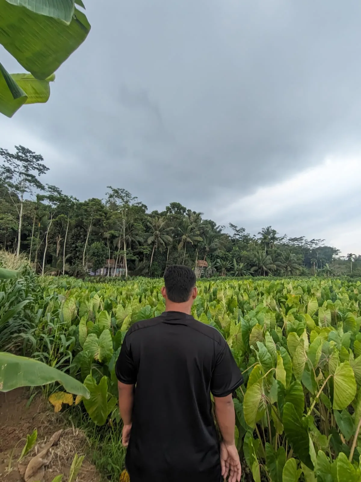 BISONO COMMUNITY