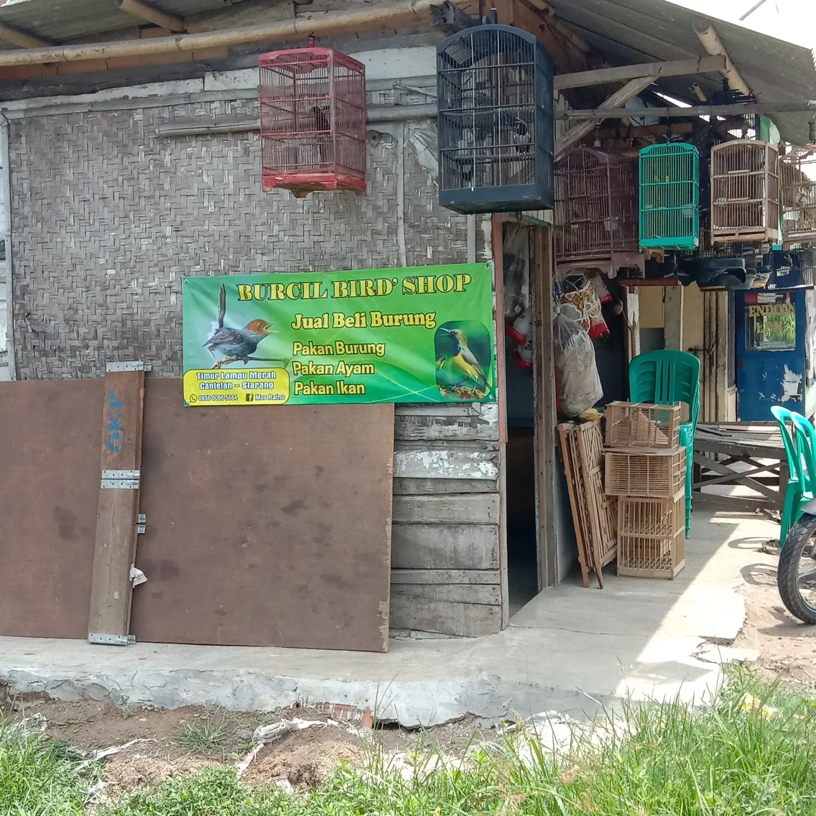 Burcil bird shop