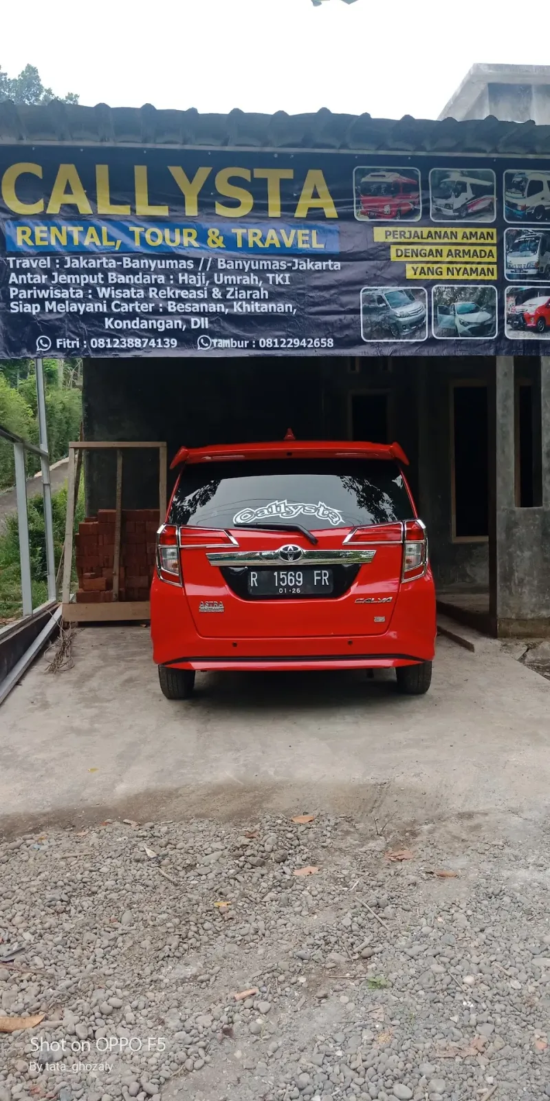Callysta rental