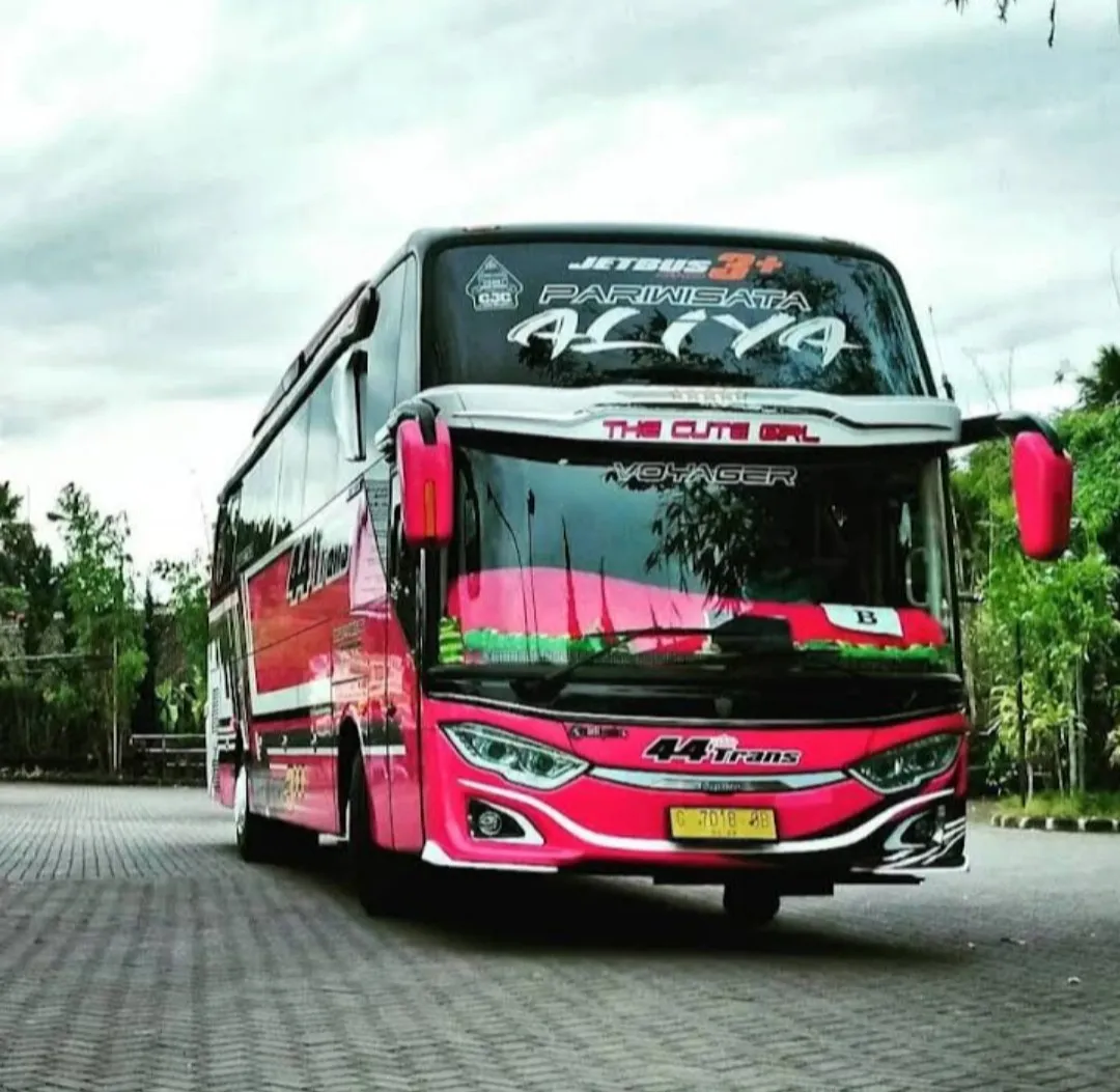 CANDRA TREVELL siap mlayani sepenuh hati