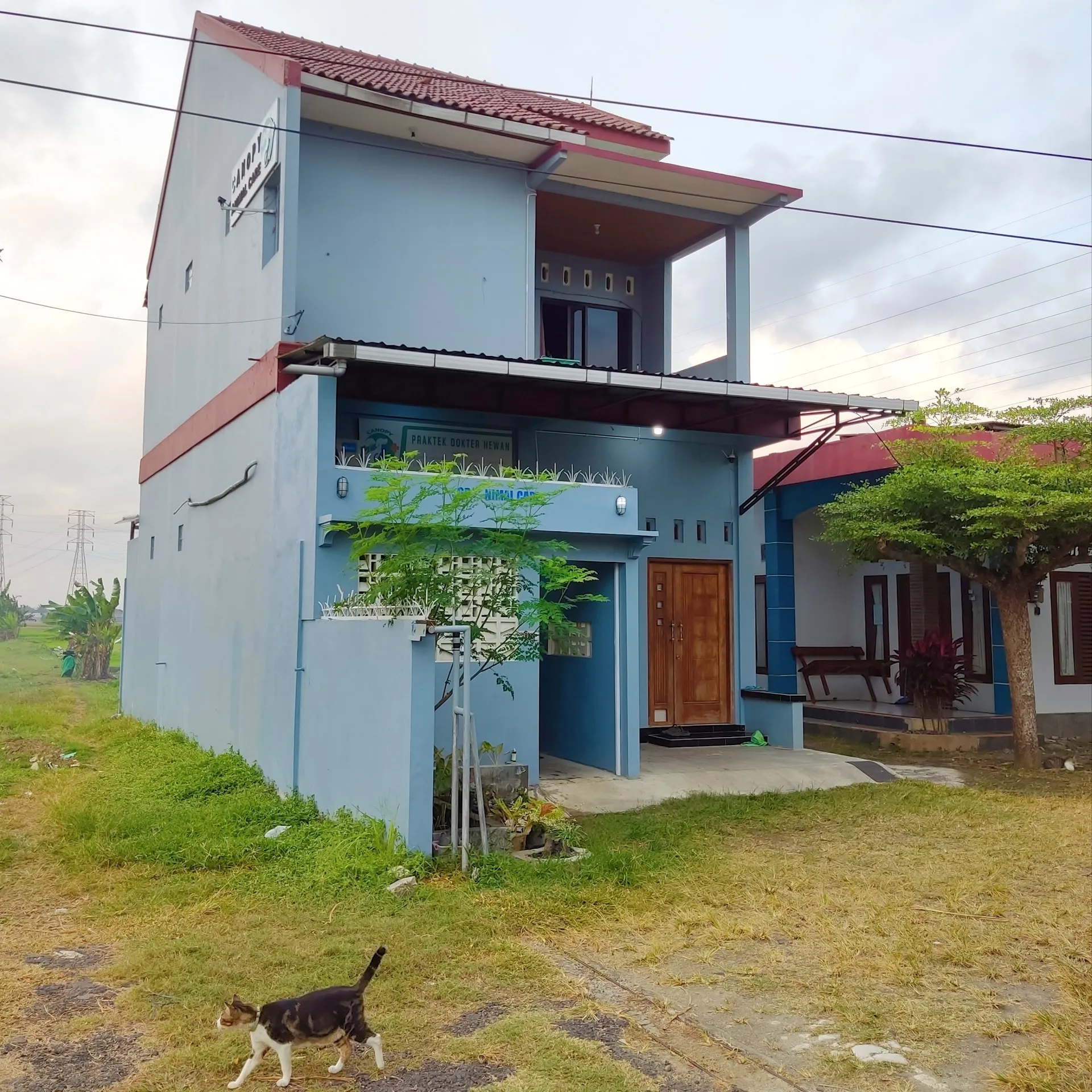 Canopy Animal Care