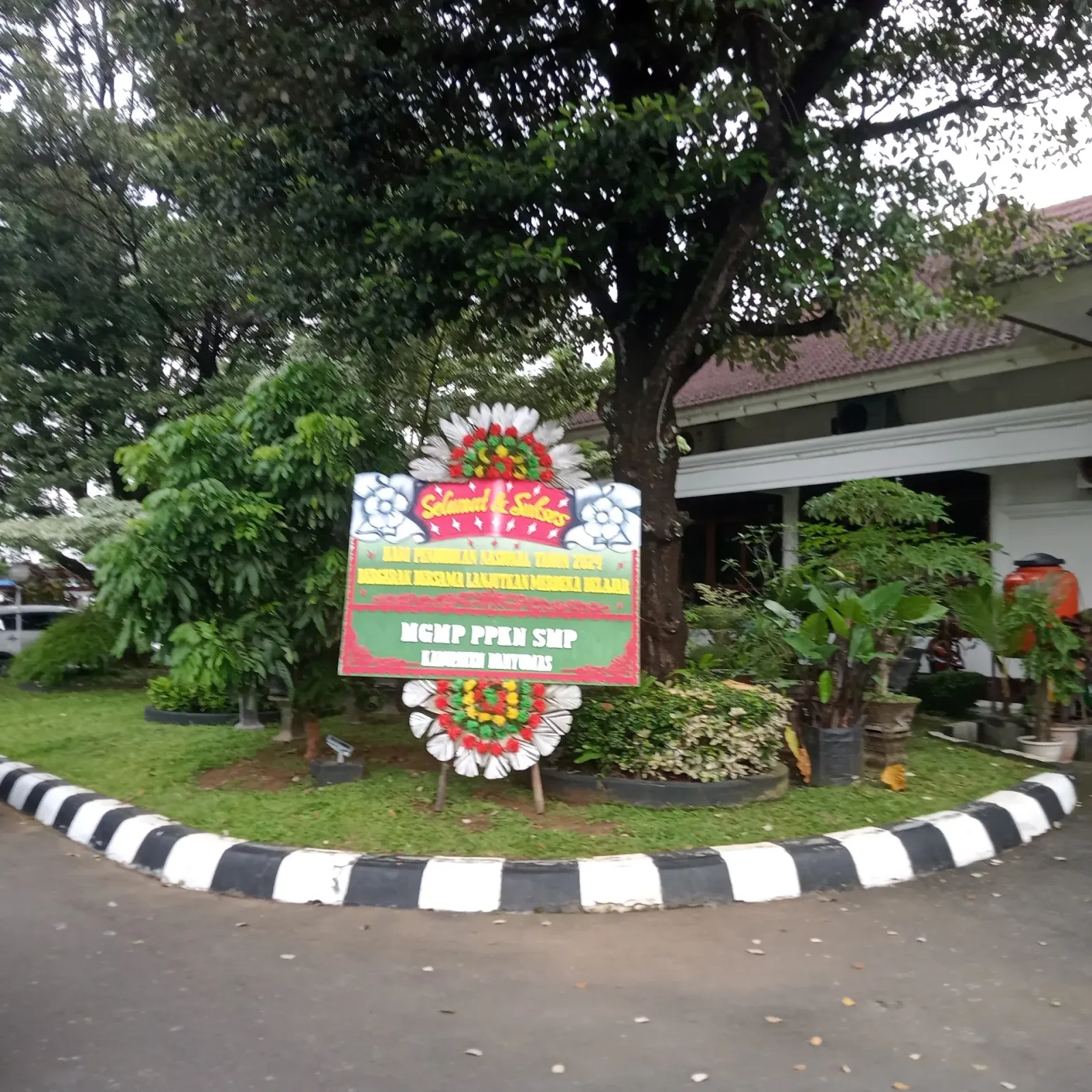 Capucino cincau UMKM UMP