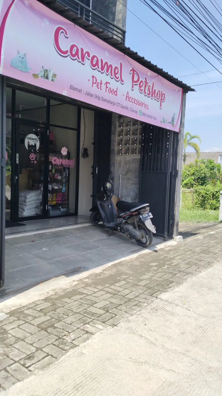 Caramel petshop