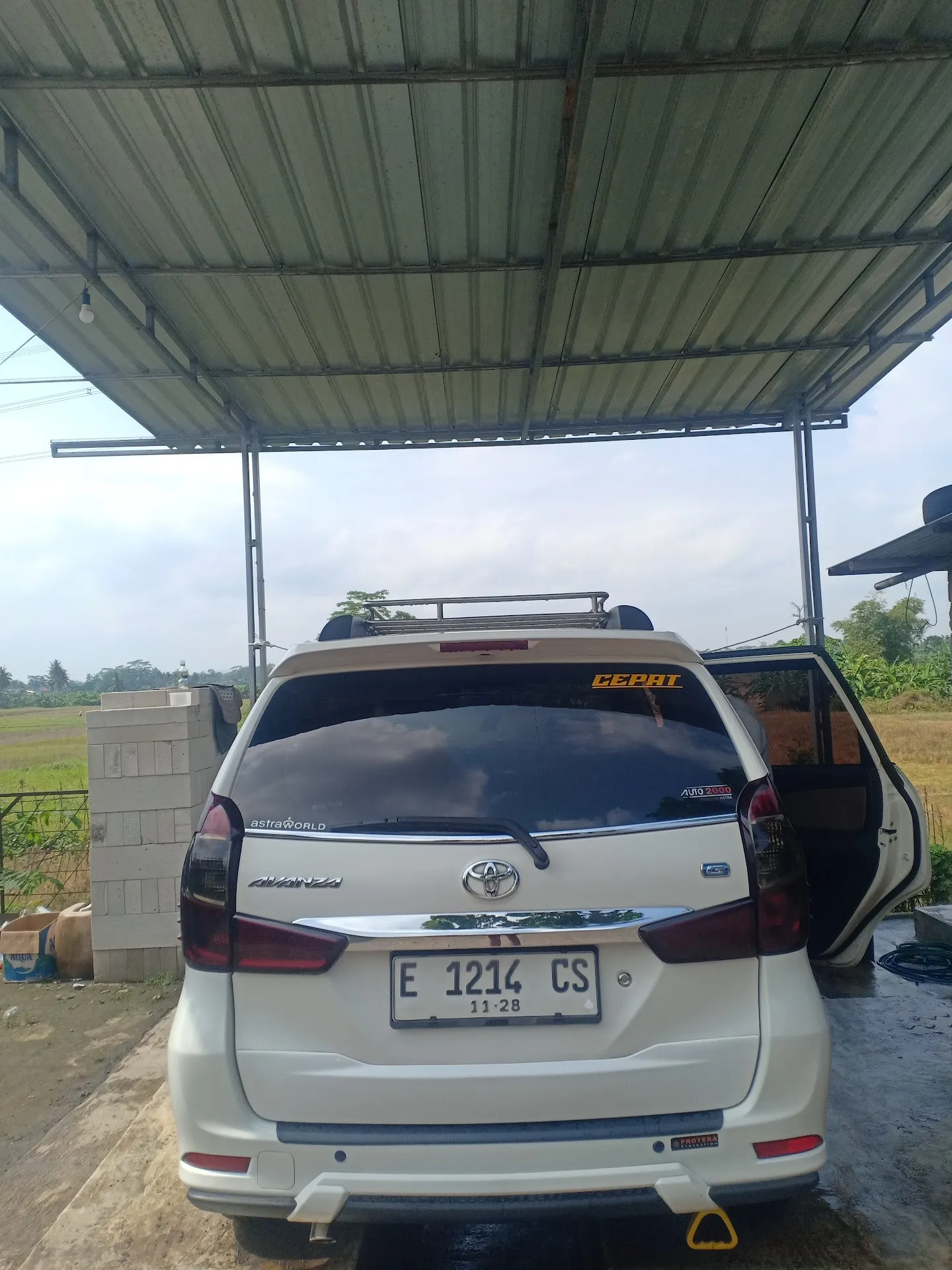 cassey tour and travel