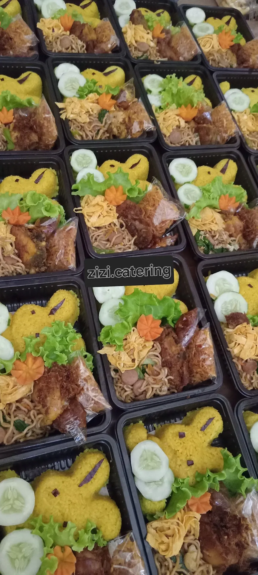 Catering cilacap zizi