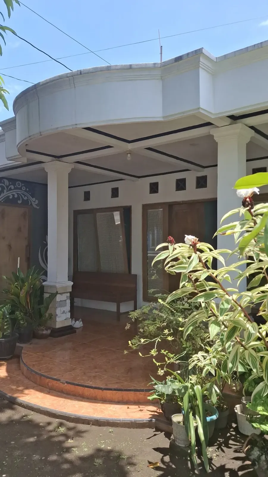 Cemara Kost