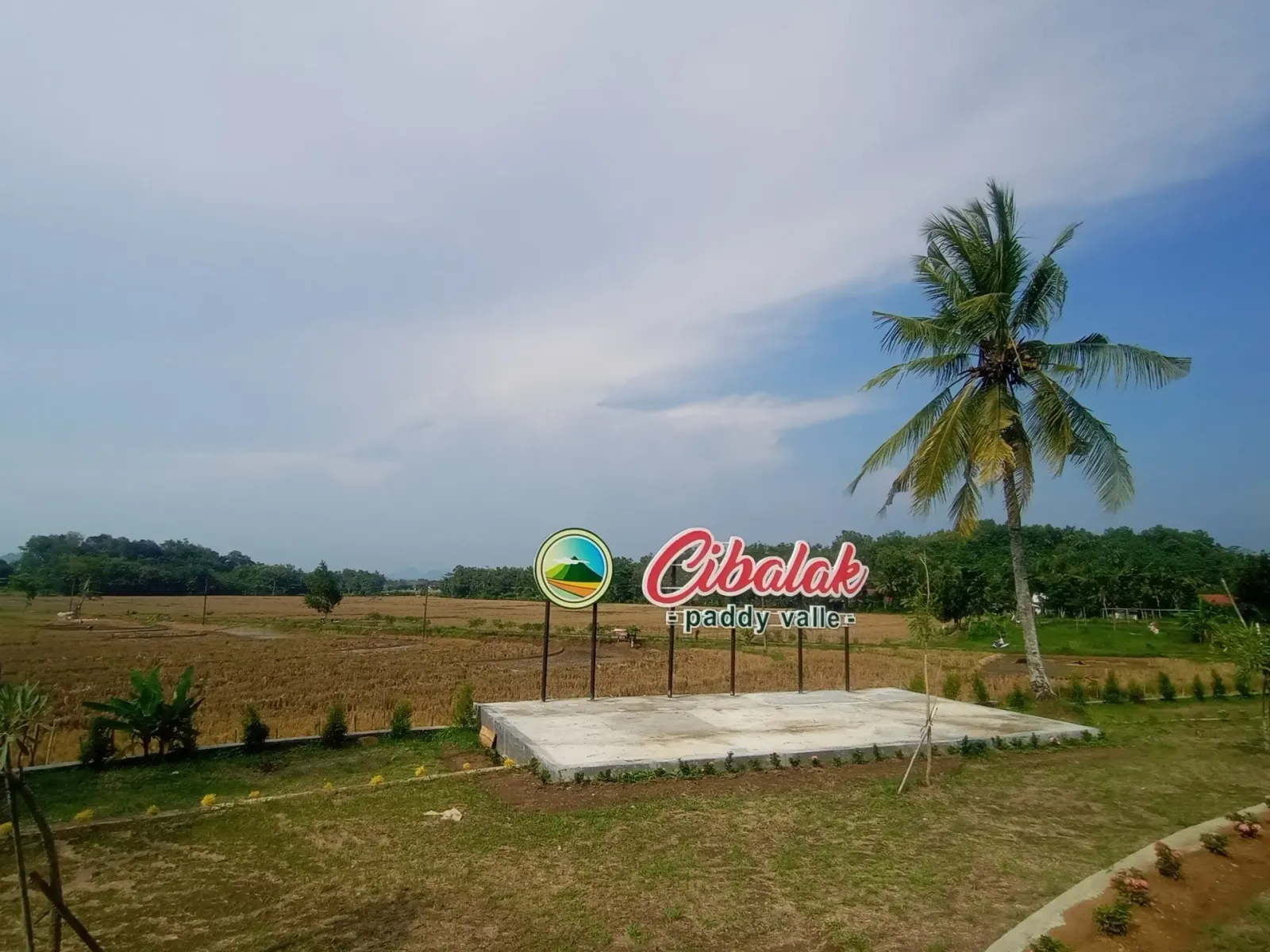 Cibalak Paddy valle