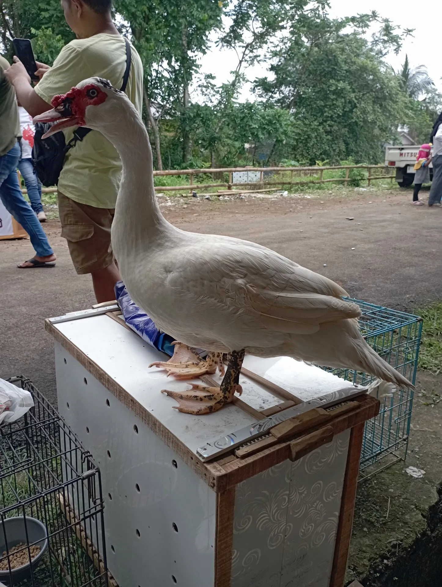 Cilacap