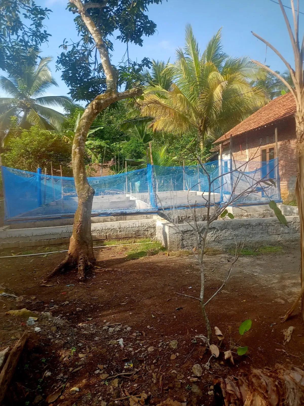 Cilok MamaNi karang kemiri RT01/1jeruk legi Cilacap