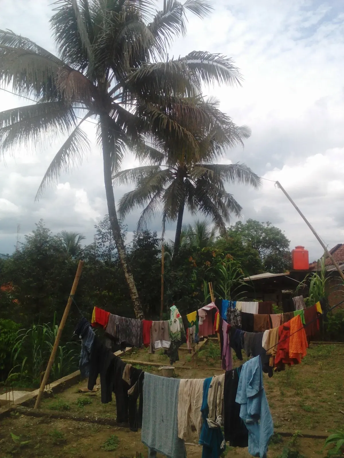 CILOK MAS HARI