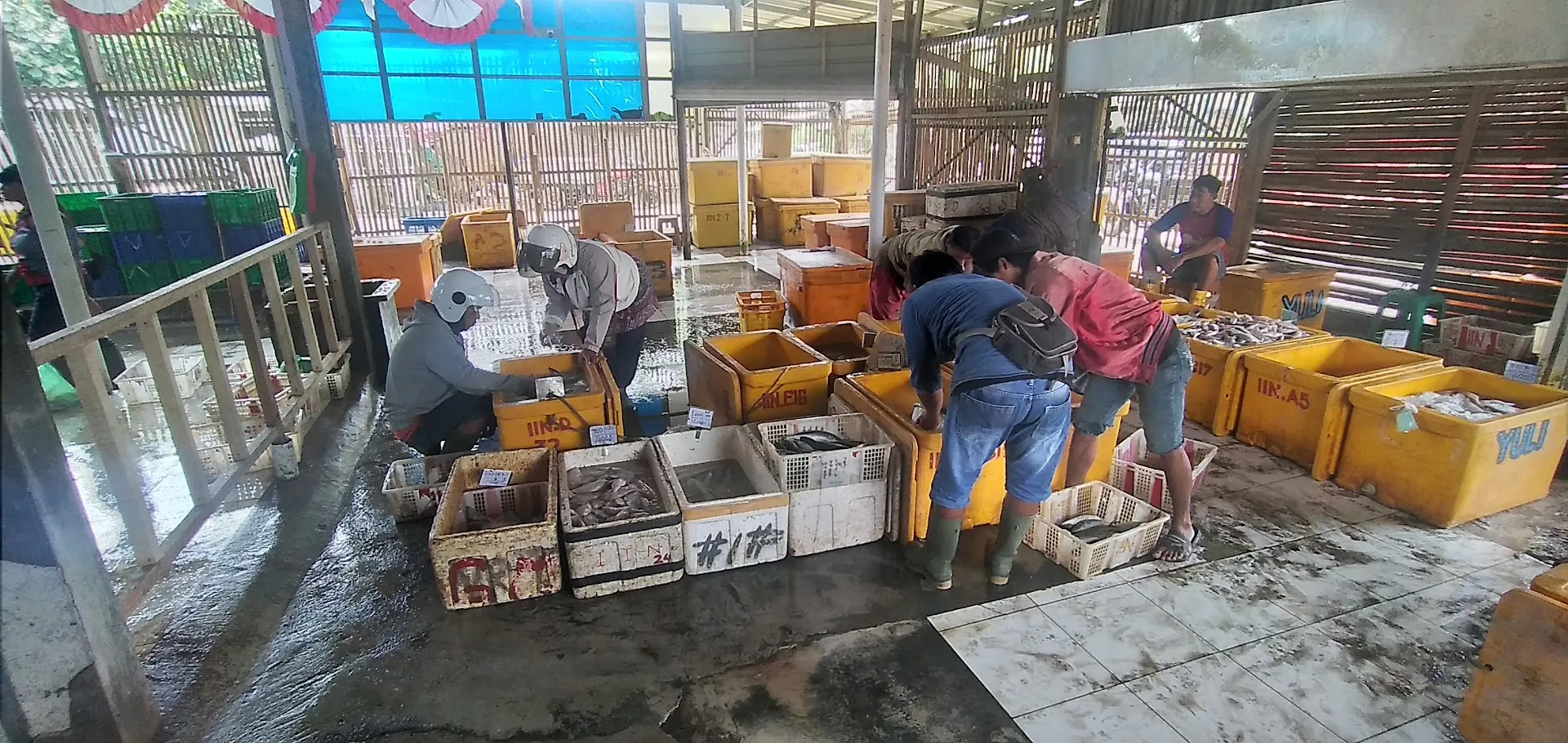 Depot ikan IIN