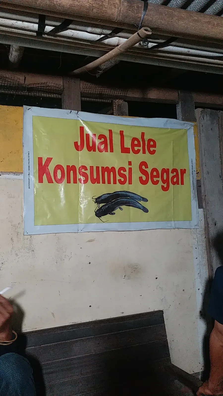 Depot IKAN LELE Mas TOYO