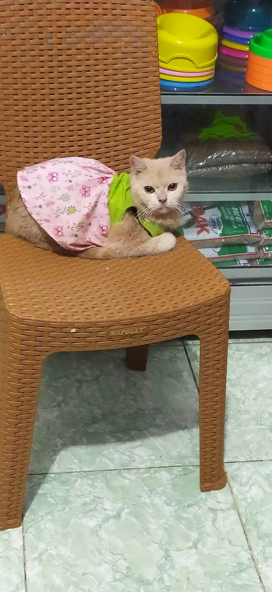 Dewa Paw Vet Clinic & Petshop