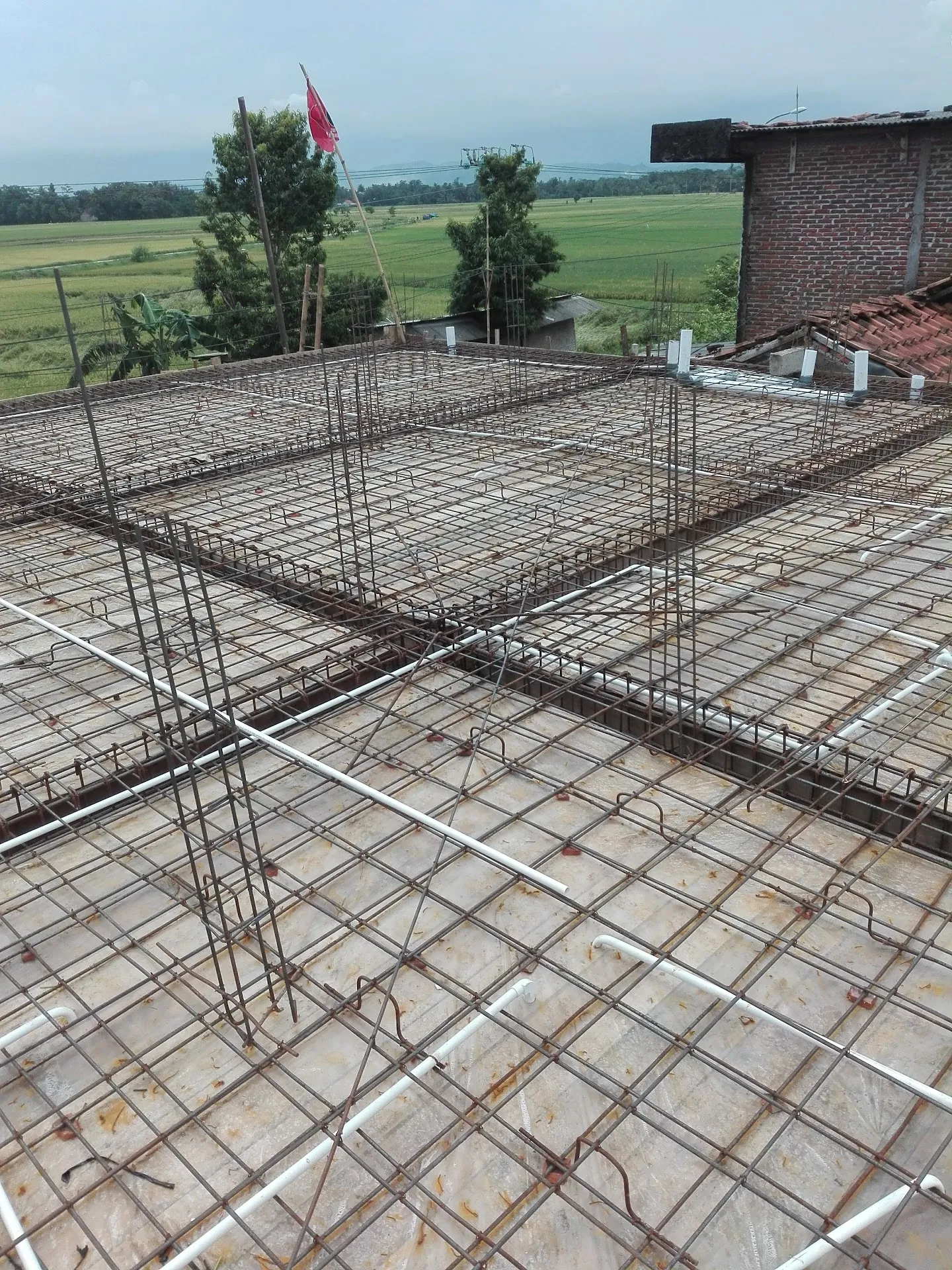Dewi Sri NT Cell