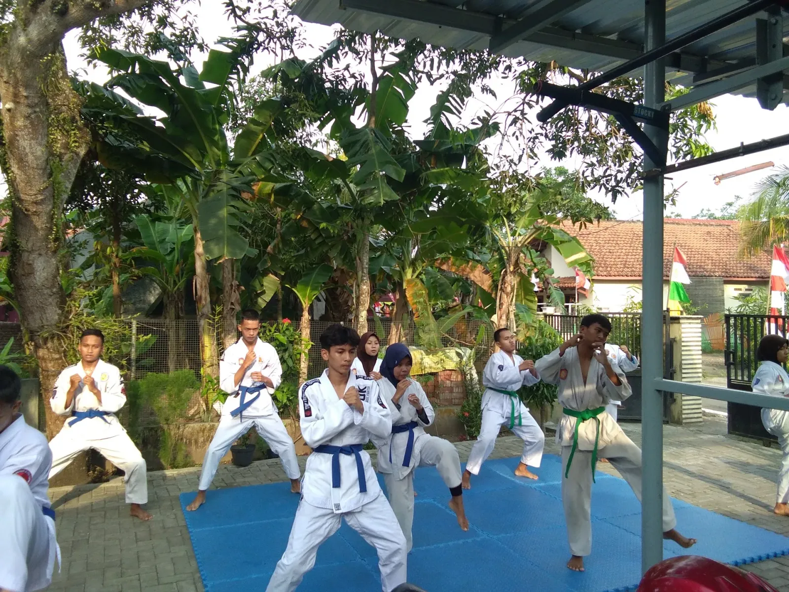 Dojo Maos Institut Jujitsu Indonesia