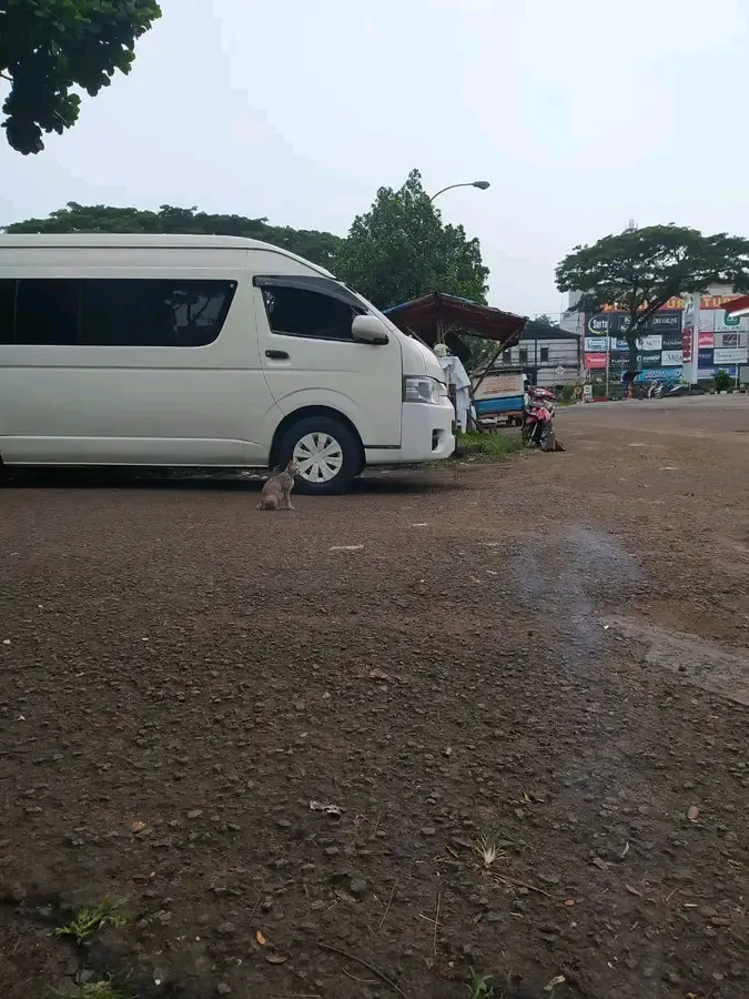 Doris tour & travel