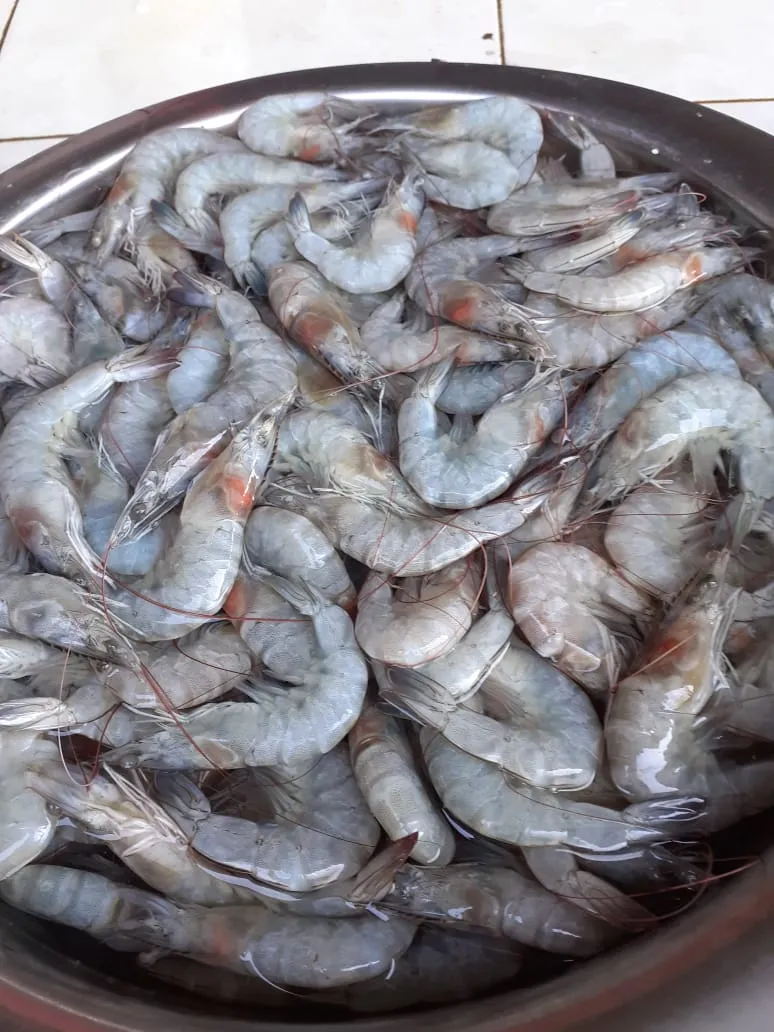 DUA PUTRI SUPPLIER SEAFOOD & MEATS