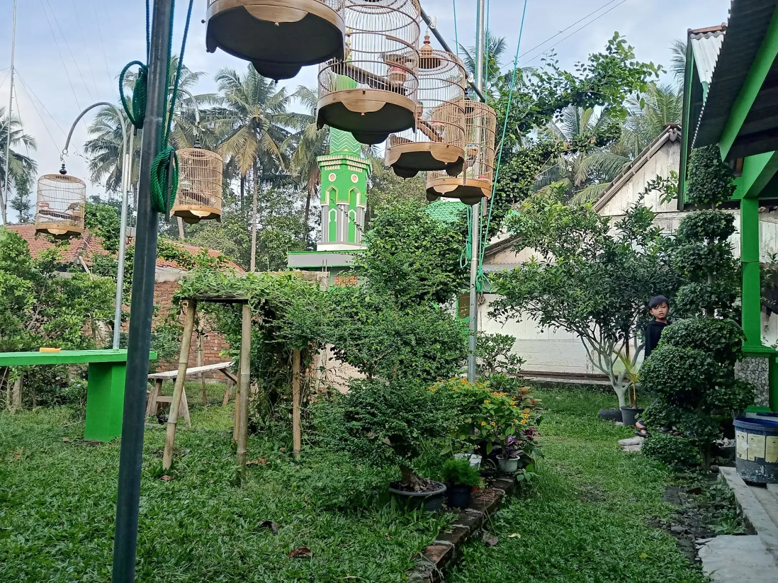 D'ZONA BIRD FARM