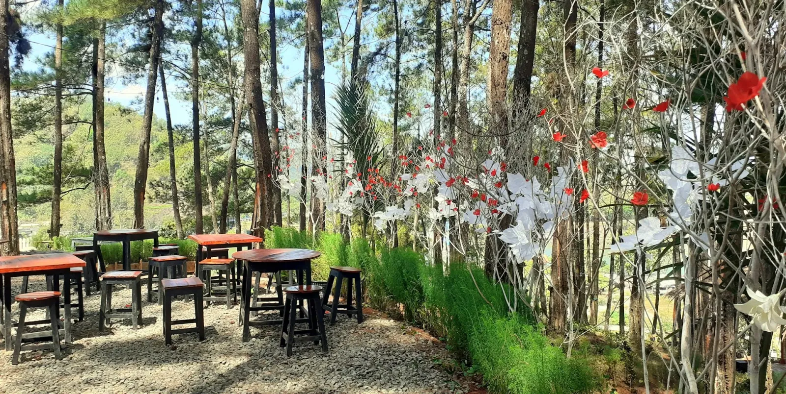 EL's Cafe