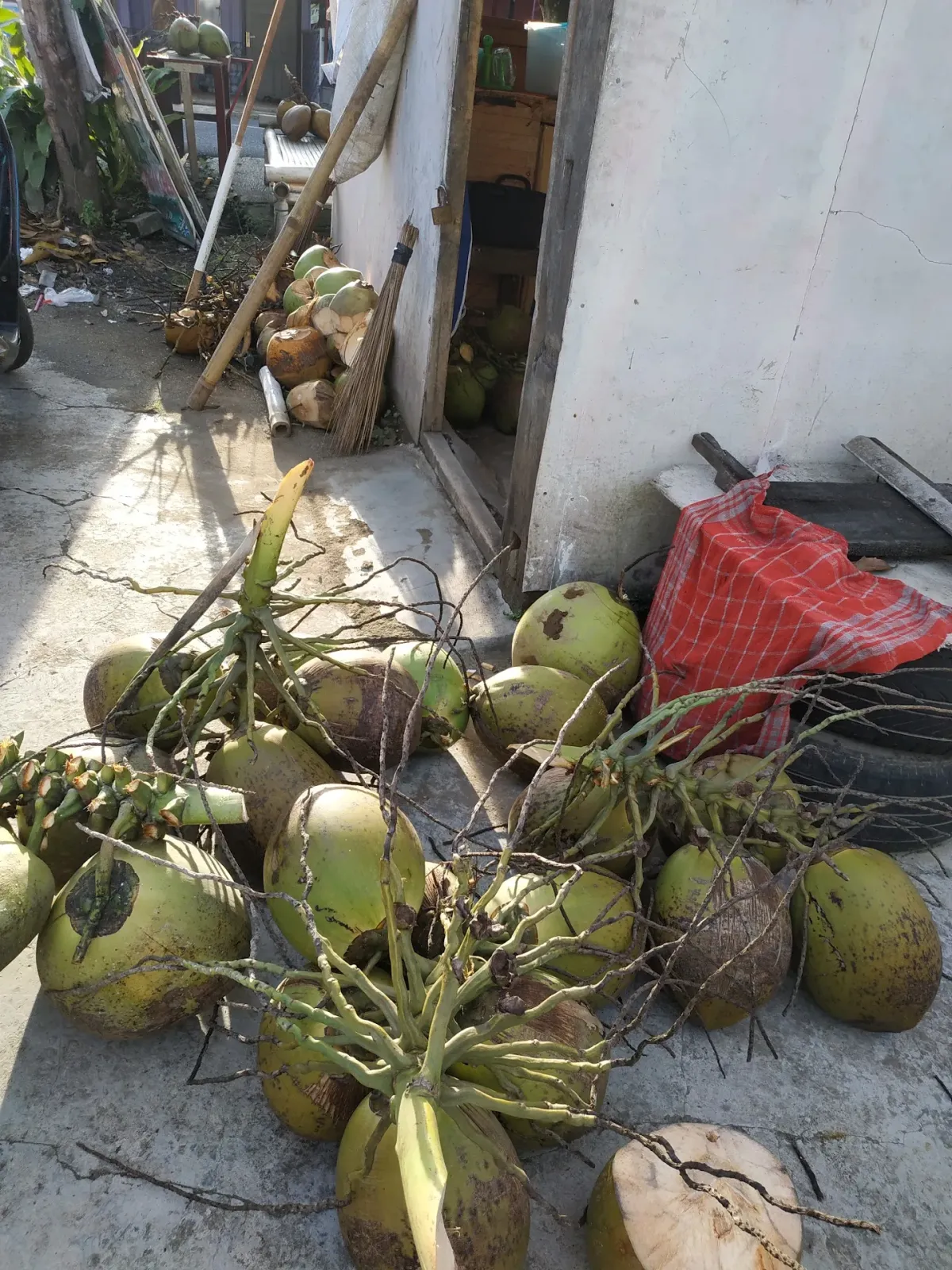 Es kelapa muda dan es kelapa durian jatilawang
