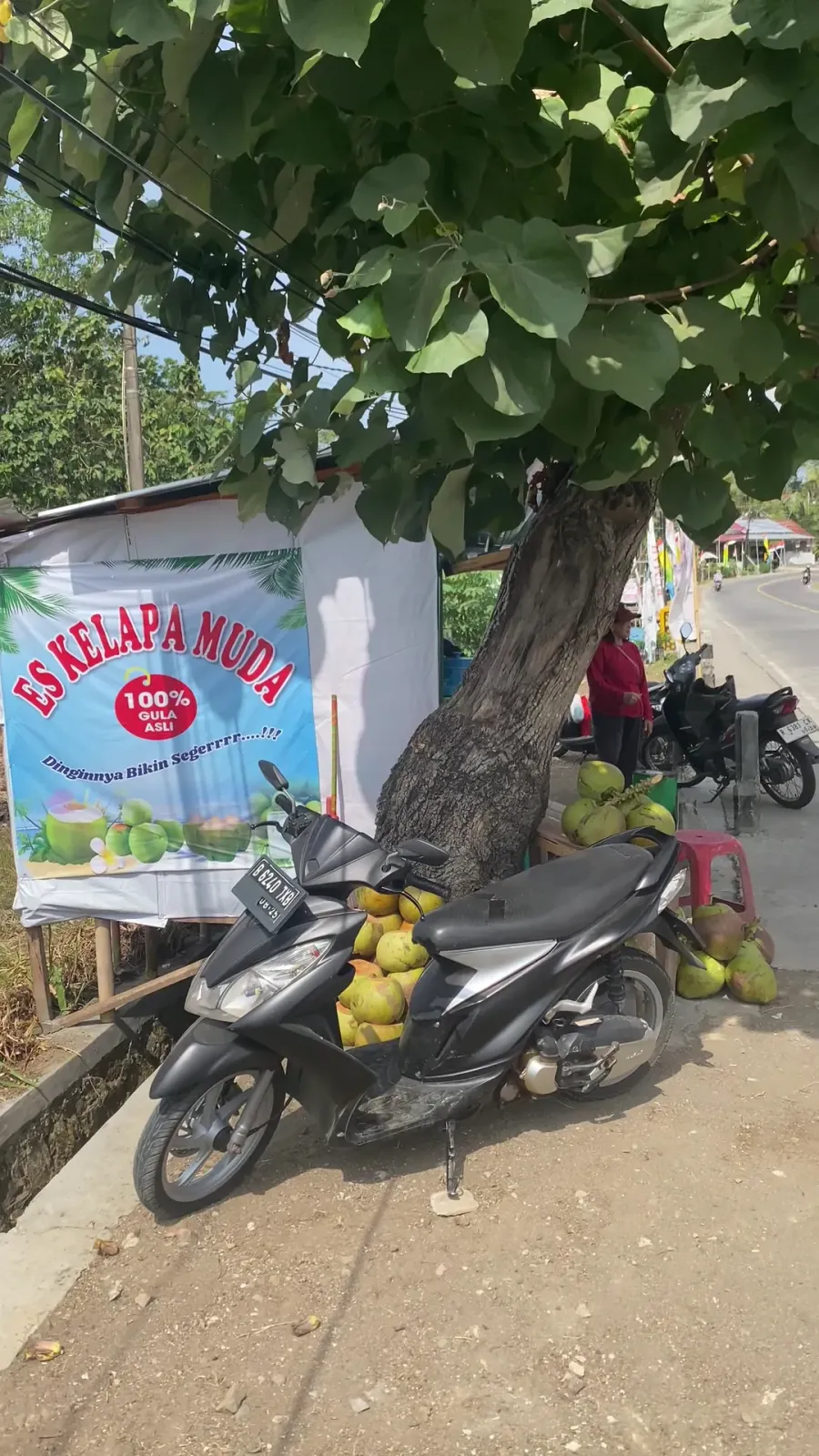 Es kelapa muda