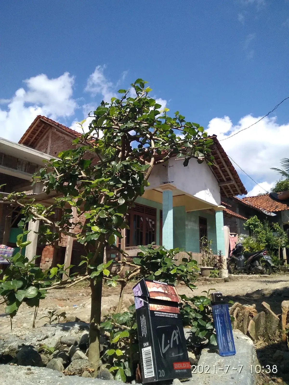 Fariasi