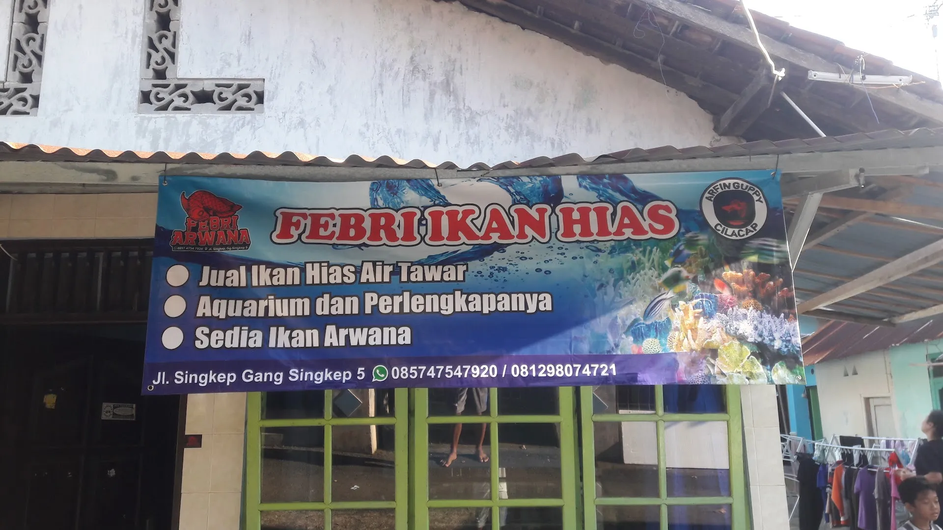 Febri Ikan Hias