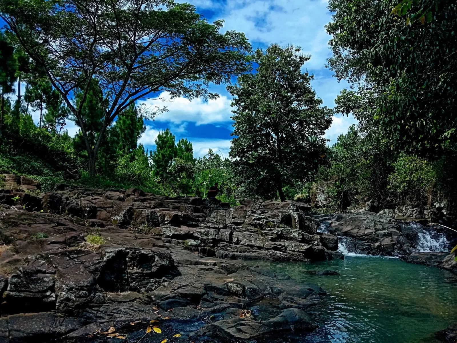 Ganang Setioko